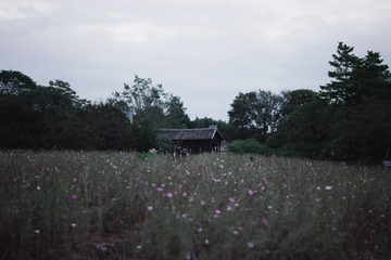 1000050286