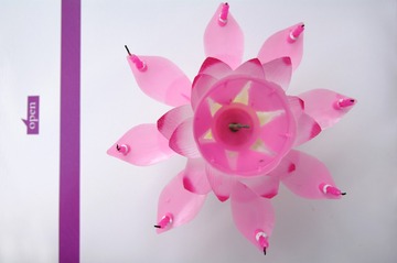 生日莲花蜡烛IMGP6739