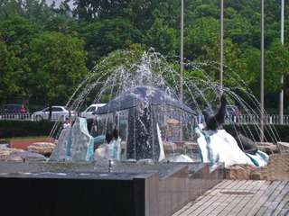 IMG_4069-