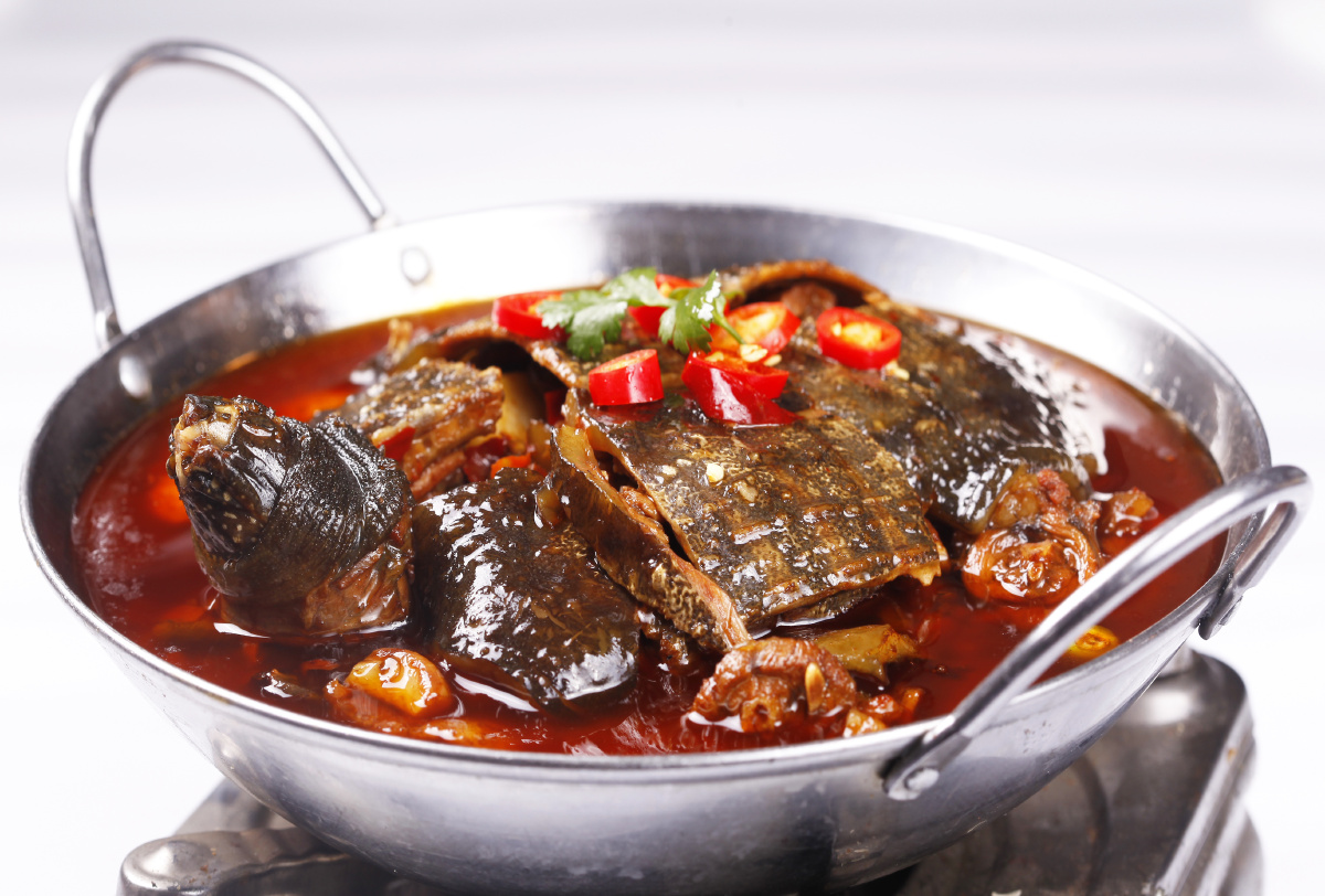 红焖甲鱼