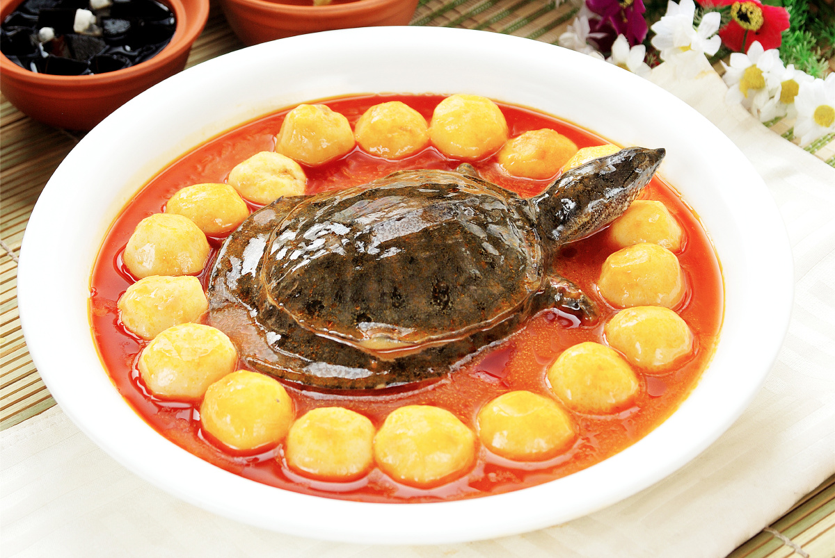 小土豆烧甲鱼