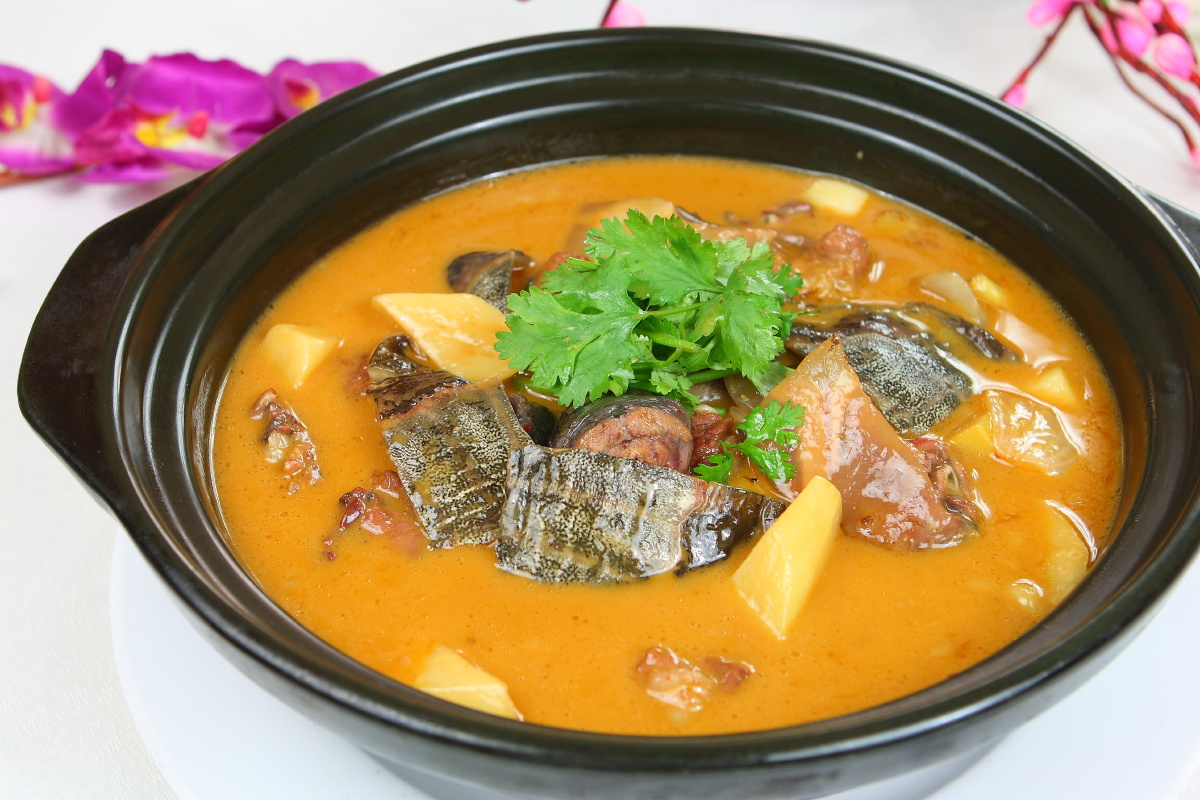 红焖甲鱼 - 唐唐风 - 图虫