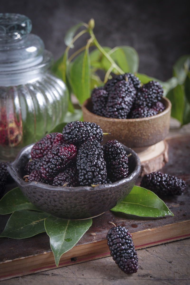 黑桑葚