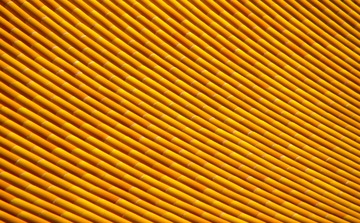 0D30A573-C00A-4E03-AFCE-7A7BB88B8C5D/L0/001