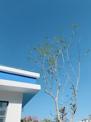 92ACFEEA-A8D3-4F59-8248-6FD86C0EEAEF/L0/001