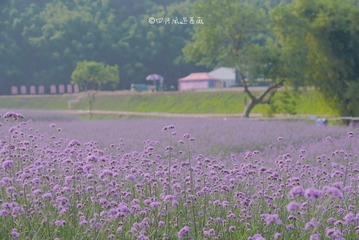 13CA10DA-775D-46BD-84D8-8705FA966C62/L0/001