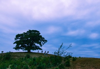 DSCF0660