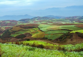 DSCF0719