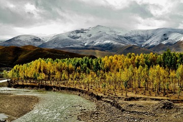 _DSC4245 (1)
