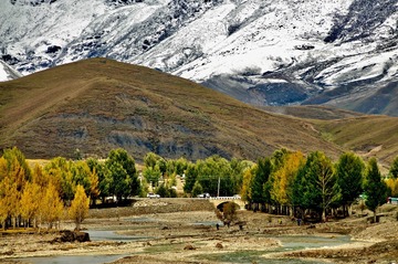_DSC4241 (1)