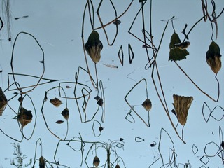 P1150097 (1)