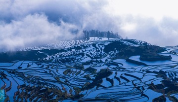 DSCF0937