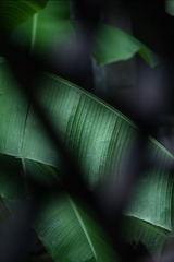 C5E083B3-B572-46AE-831D-1DA41772B948/L0/001