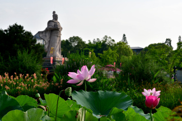 DSC_8220 拷贝