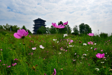 DSC_8180 拷贝