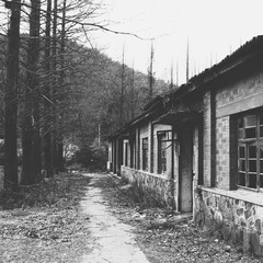 PIC_9792460061155050721