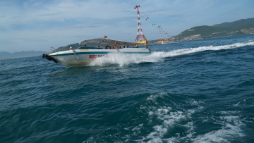DSC04890 - 副本