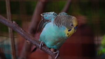 DSC05380