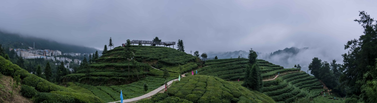 邓村茶园风光～湖北宜昌夷陵区邓村"茶旅小镇"项目加紧建设,该项目以