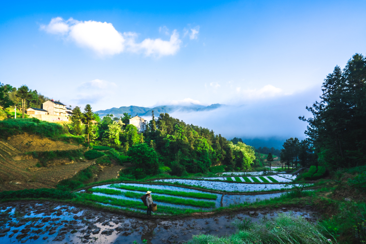 泄滩山上好风光摄于秭归泄滩陈家坡