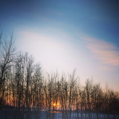 483791A2-0B6B-4784-9694-DB65227C086E/L0/001