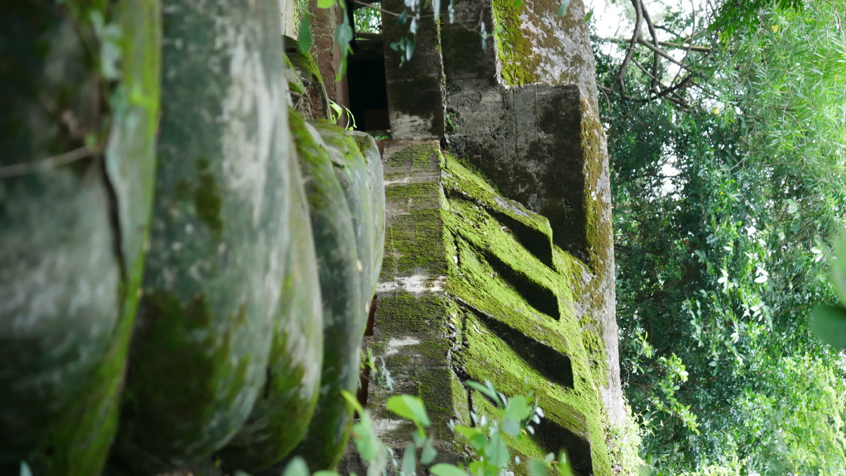 打卡飞鹅岭,向英雄们致敬!