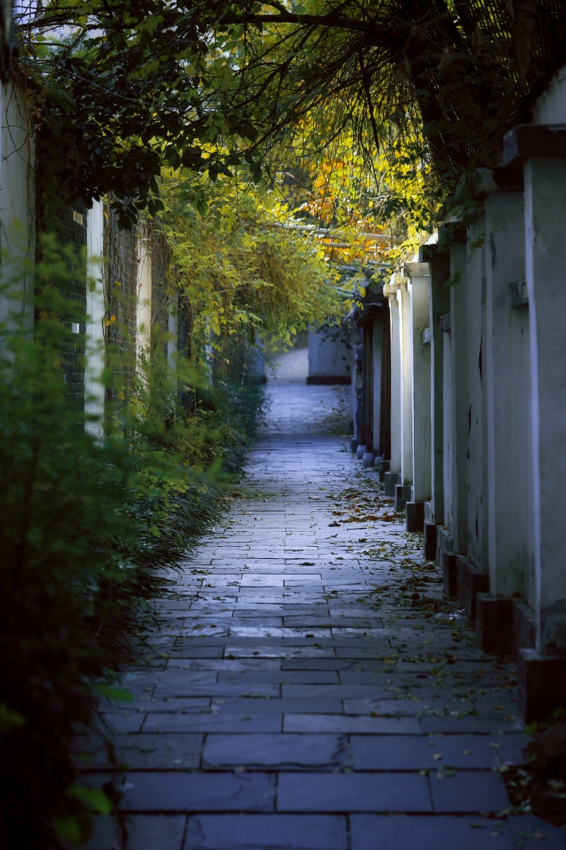 合肥市千年古城都是的变迁只剩下最后一条巷子雨巷也只有这点斑驳的