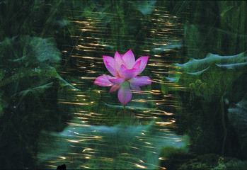 01（2011.6.27发市政局吴局）