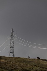 613810