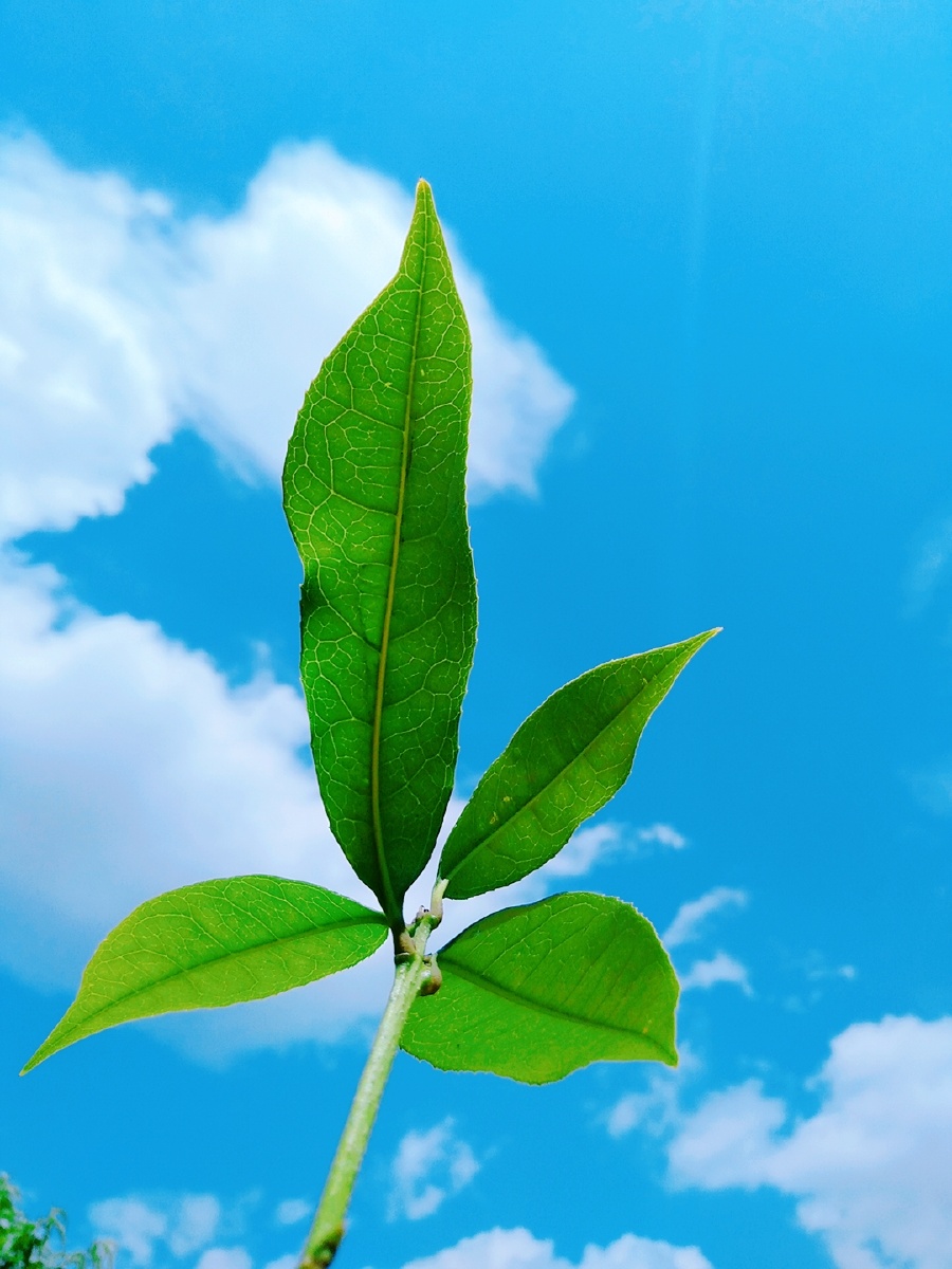 人间值得 万物可期