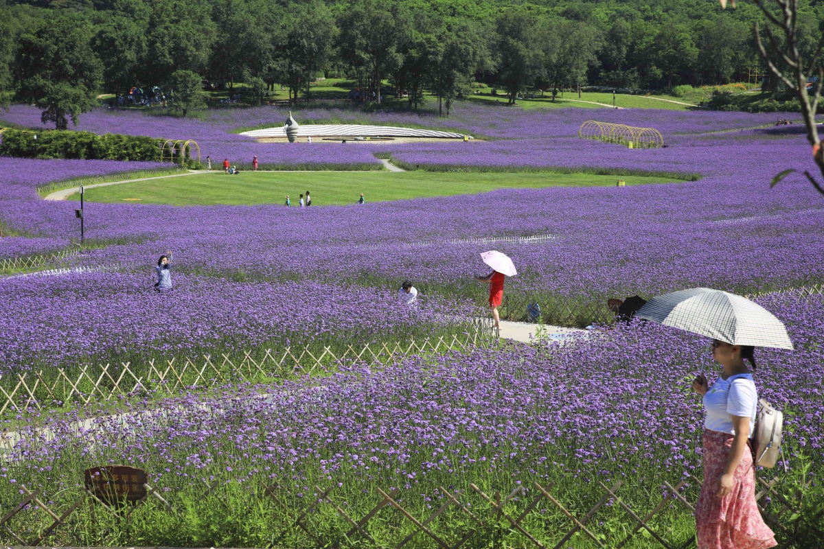 大连心悦岛文化休闲主题公园
