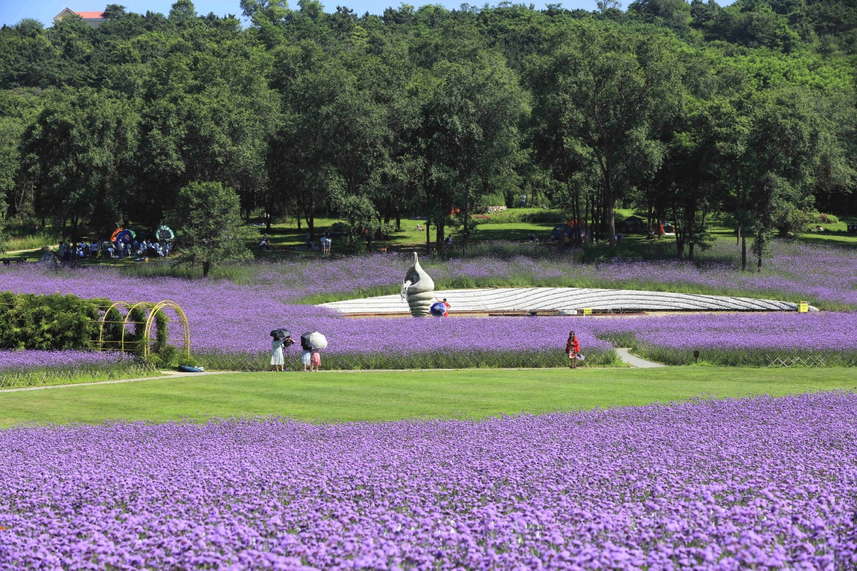 大连心悦岛文化休闲主题公园