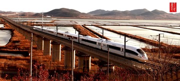 2928202