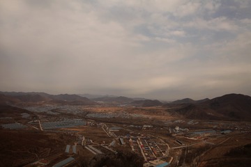 2935631