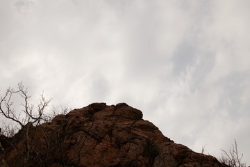 2935627
