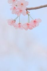 7A6C0A50-0A69-403D-8C58-01E48B2EF438/L0/001