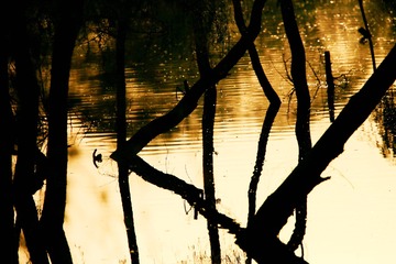 2009686