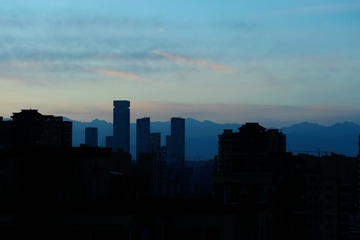 2003610