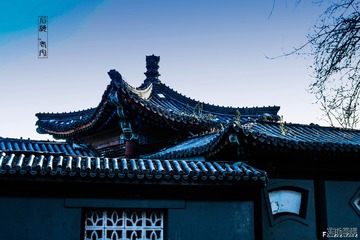 IMG_0902-2-2