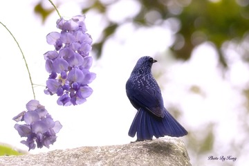 961200