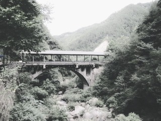274341