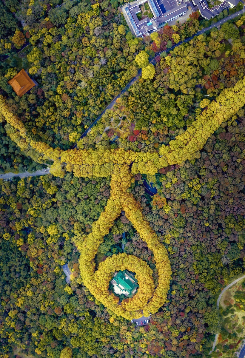 秋色秋天的美龄宫像镶嵌在黄金吊坠上的一颗璀璨绿宝石