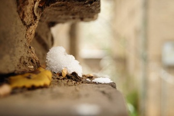 墙根里的雪白