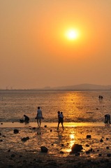 夕阳