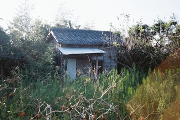 1755426