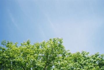 1820481
