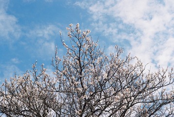 1802897