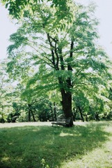 1820480