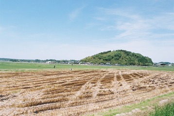 1818956