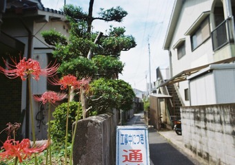1755249
